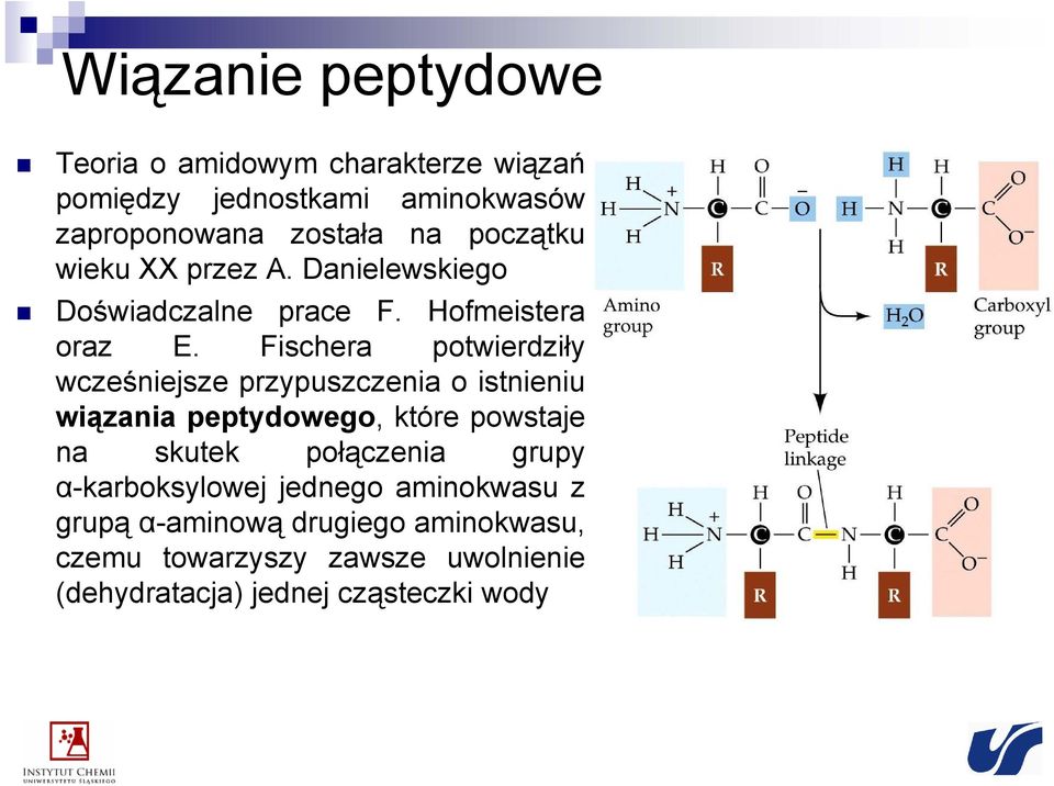 Fischera potwierdziły wcześniejsze przypuszczenia o istnieniu wiązania peptydowego, które powstaje na skutek