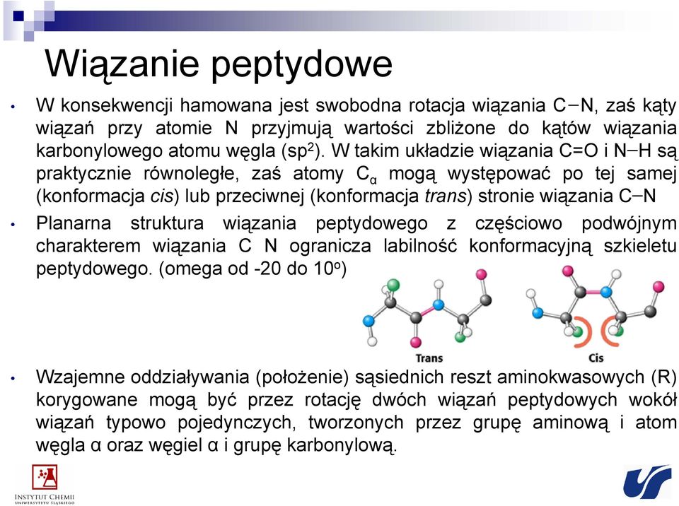 struktura wiązania peptydowego z częściowo podwójnym charakterem wiązania C N ogranicza labilność konformacyjną szkieletu peptydowego.