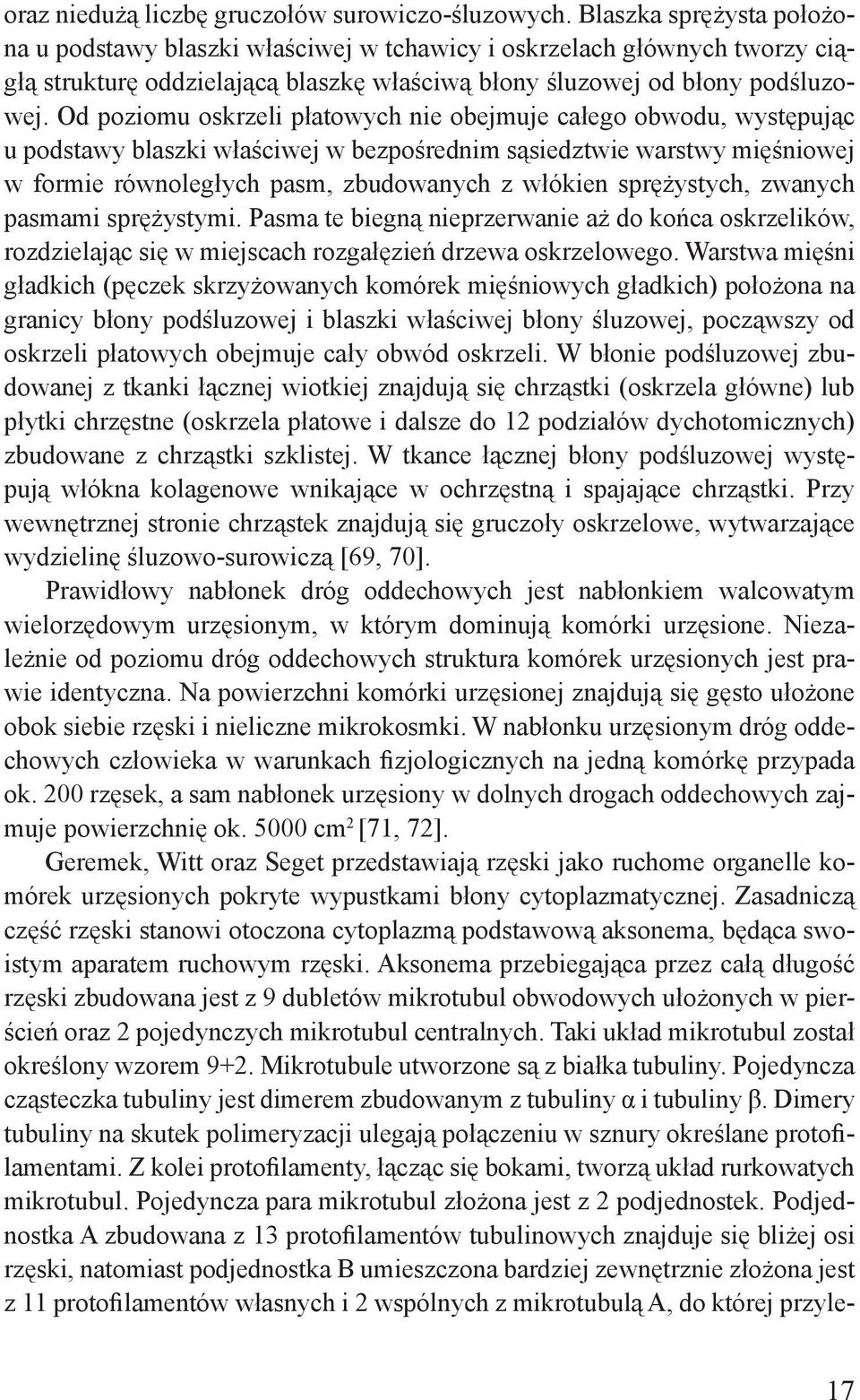 Od poziomu oskrzeli płatowych nie obejmuje całego obwodu, występując u podstawy blaszki właściwej w bezpośrednim sąsiedztwie warstwy mięśniowej w formie równoległych pasm, zbudowanych z włókien