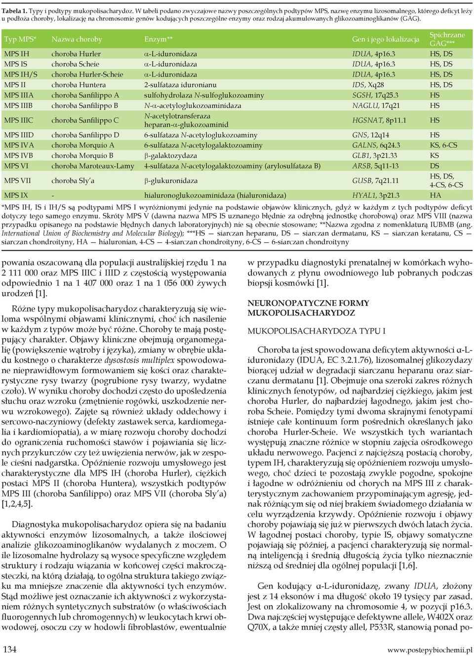 rodzaj akumulowanych glikozoaminoglikanów (GAG). Typ MPS* Nazwa choroby Enzym** Gen i jego lokalizacja Spichrzane GAG*** MPS IH choroba Hurler a-l-iduronidaza IDUA, 4p16.