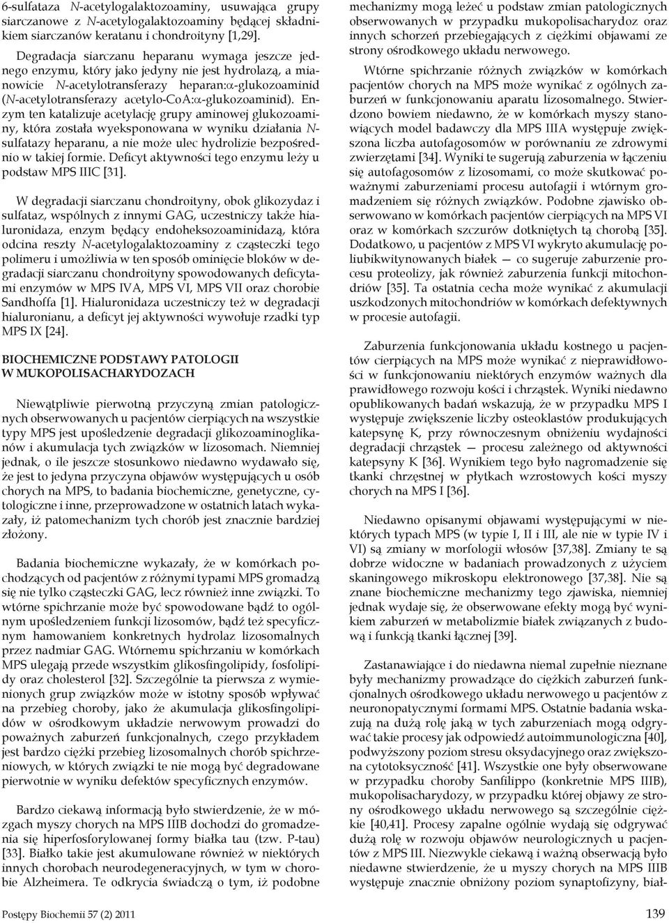 acetylo-coa:a-glukozoaminid).