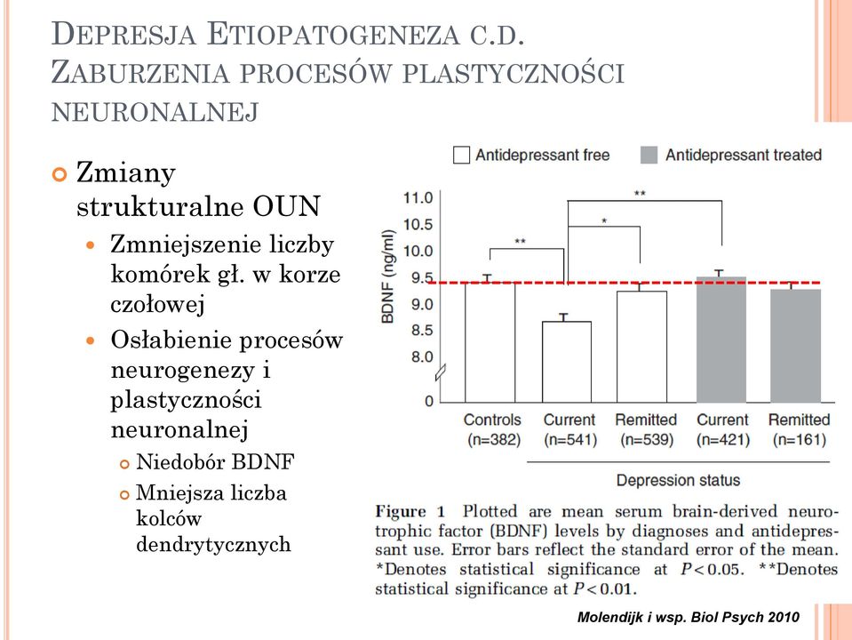 w korze czołowej Osłabienie procesów neurogenezy i plastyczności