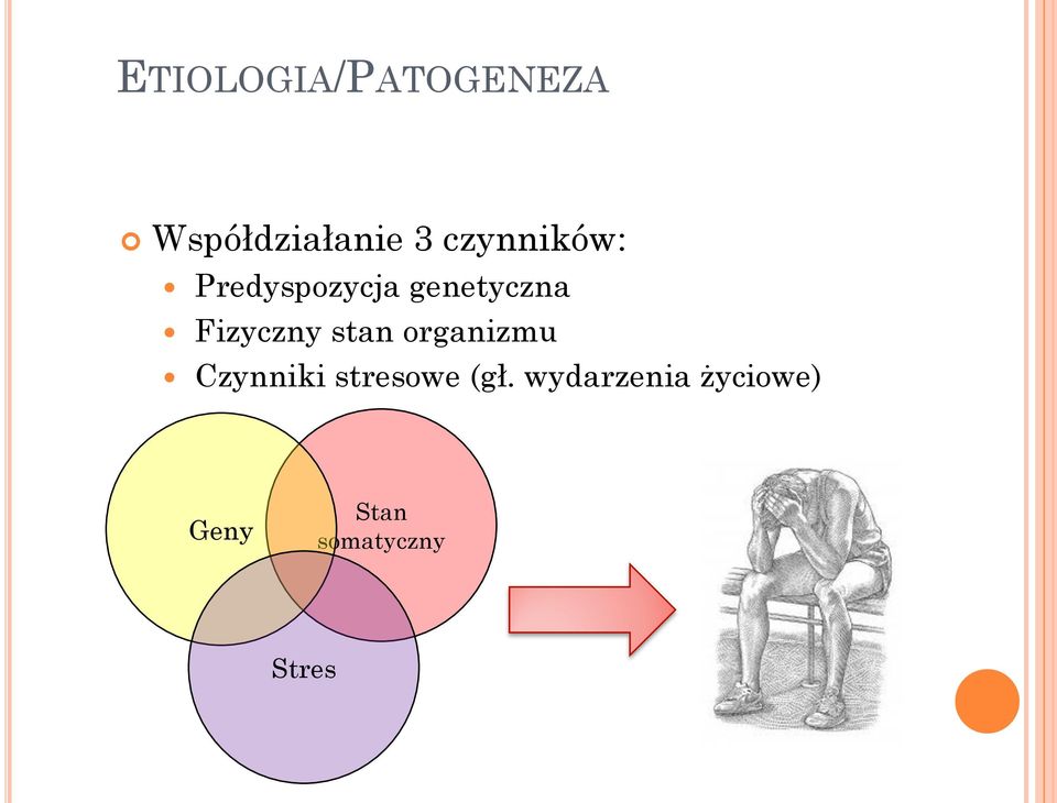Fizyczny stan organizmu Czynniki stresowe