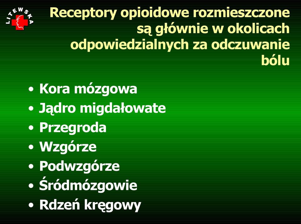 bólu Kora mózgowa Jądro migdałowate