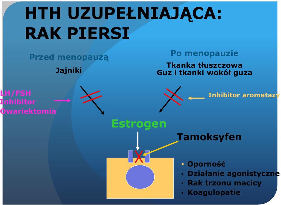 Inhibitor Owariektomia Estrogen Inhibitor aromatazy