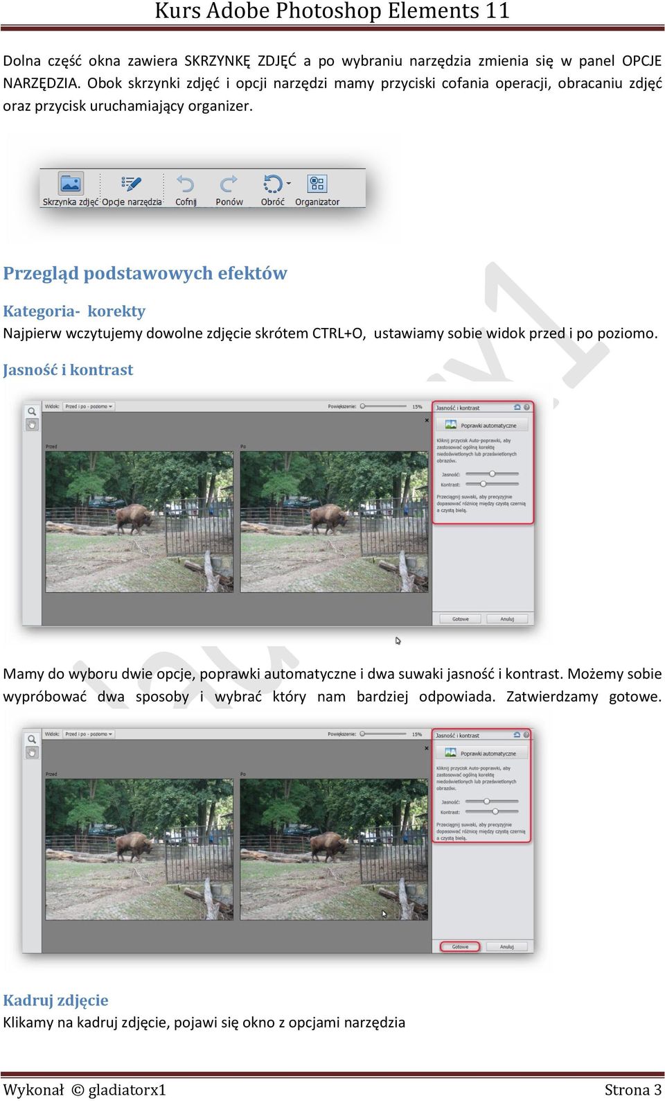 Przegląd podstawowych efektów Kategoria- korekty Najpierw wczytujemy dowolne zdjęcie skrótem CTRL+O, ustawiamy sobie widok przed i po poziomo.