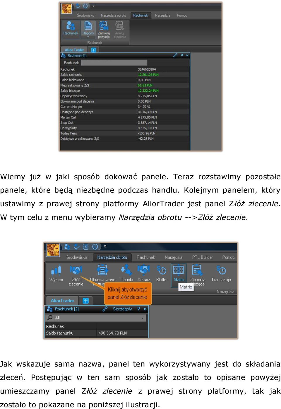 W tym celu z menu wybieramy Narzędzia obrotu -->Złóż zlecenie.