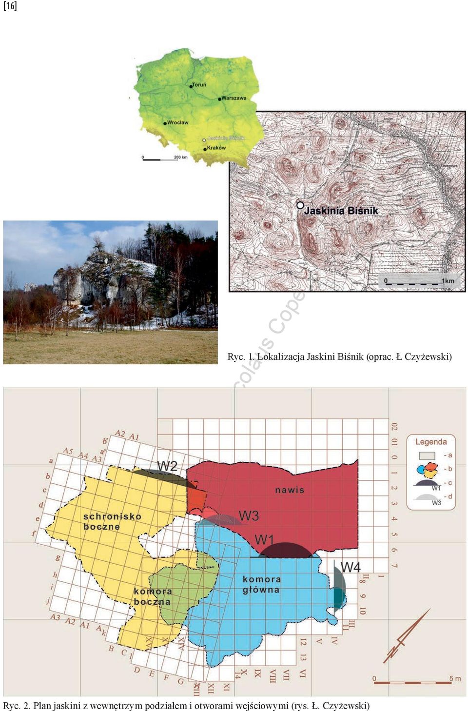 Ł Czyżewski) Ryc. 2.