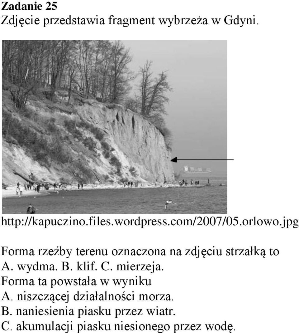jpg Forma rzeźby terenu oznaczona na zdjęciu strzałką to A. wydma. B. klif. C.