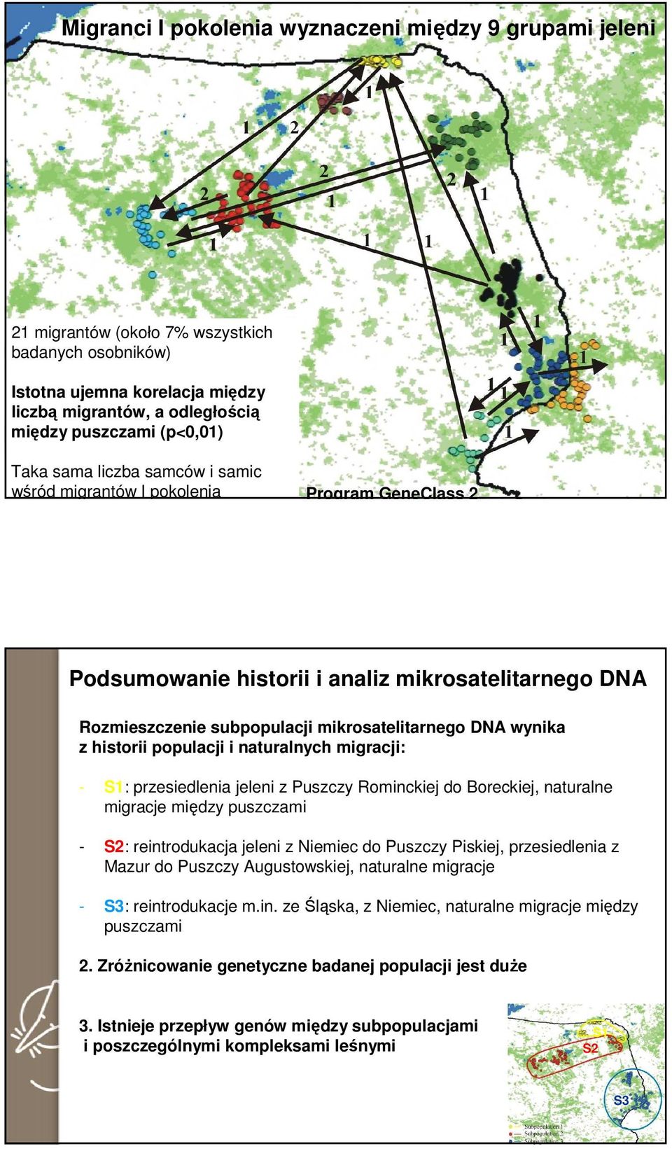 historii populacji i naturalnych migracji: - S1: przesiedlenia jeleni z Puszczy Rominckiej do Boreckiej, naturalne migracje między puszczami - S2: reintrodukacja jeleni z Niemiec do Puszczy Piskiej,