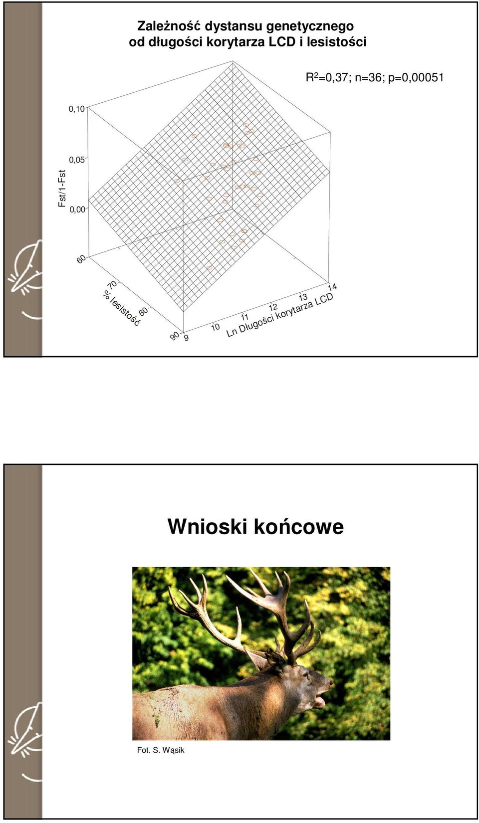 n=36; p=0,00051 0,10 0,05 0,00 60 70 % lesistość