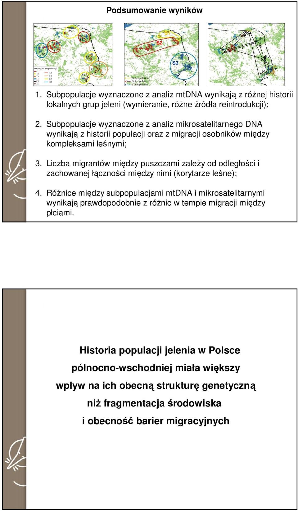 Liczba migrantów między puszczami zależy od odległości i zachowanej łączności między nimi (korytarze leśne); 4.