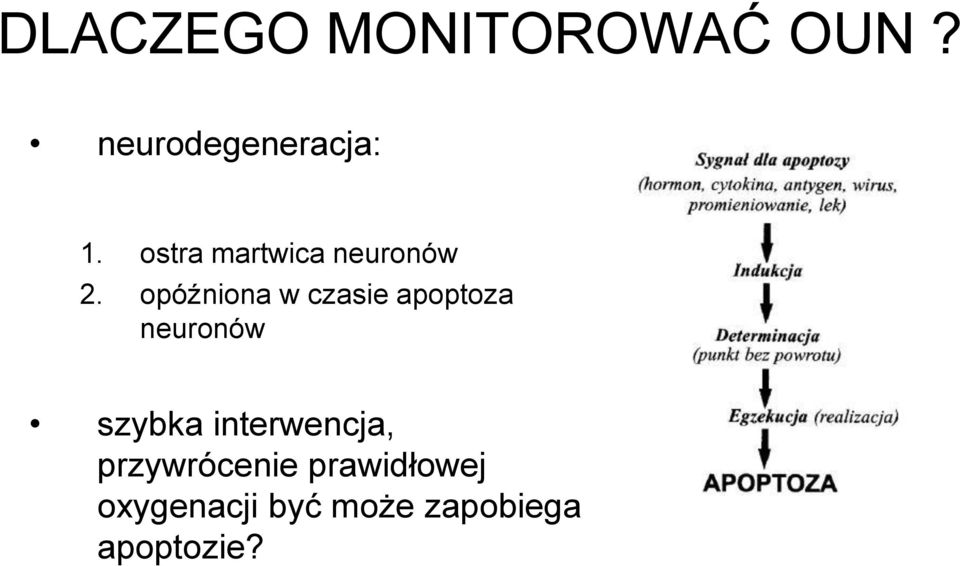 opóźniona w czasie apoptoza neuronów szybka