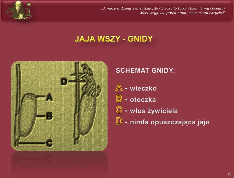 my chcemy?