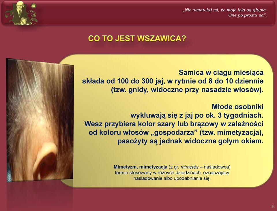 Młode osobniki wykluwają się z jaj po ok. 3 tygodniach.