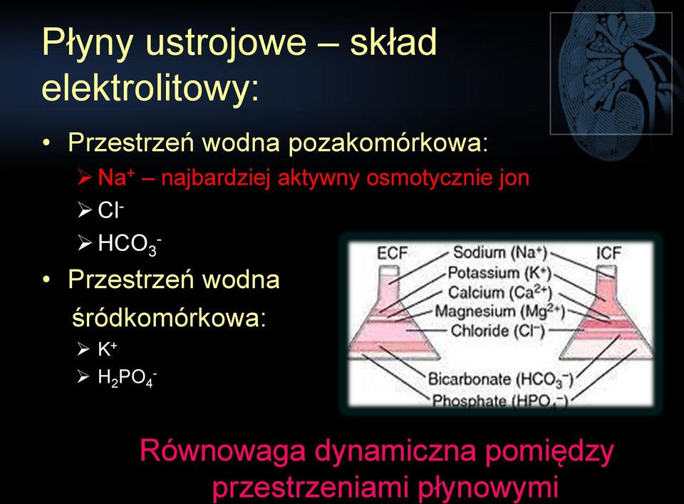 Cl - HCO - 3 Przestrzeń wodna śródkomórkowa: K + H 2 PO