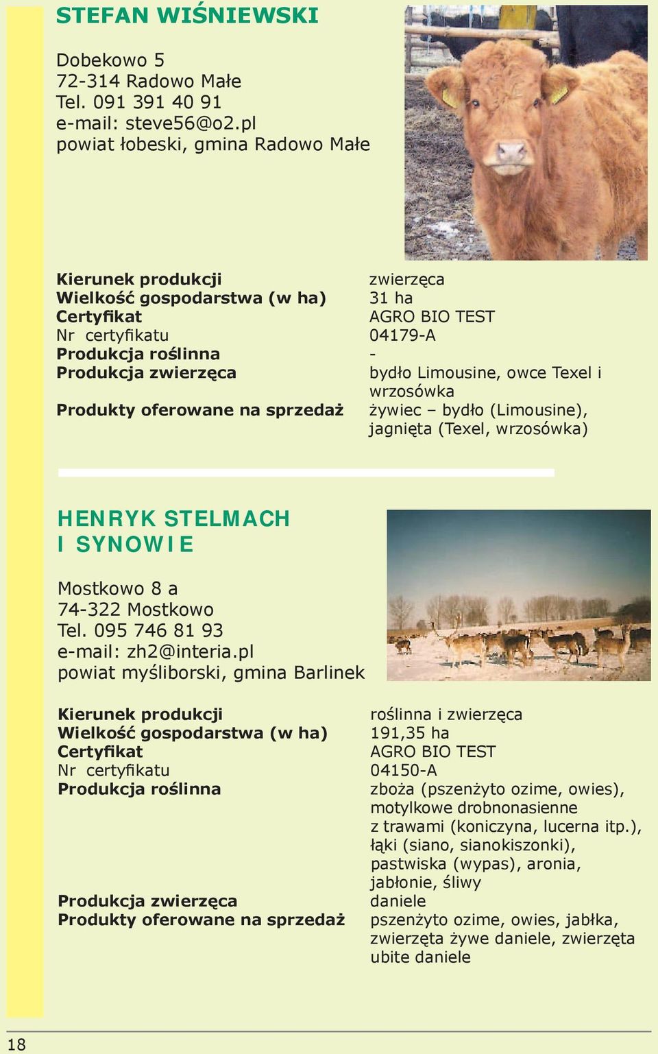 bydło (Limousine), jagnięta (Texel, wrzosówka) HENRYK STELMACH I SYNOWIE Mostkowo 8 a 74-322 Mostkowo Tel. 095 746 81 93 e-mail: zh2@interia.