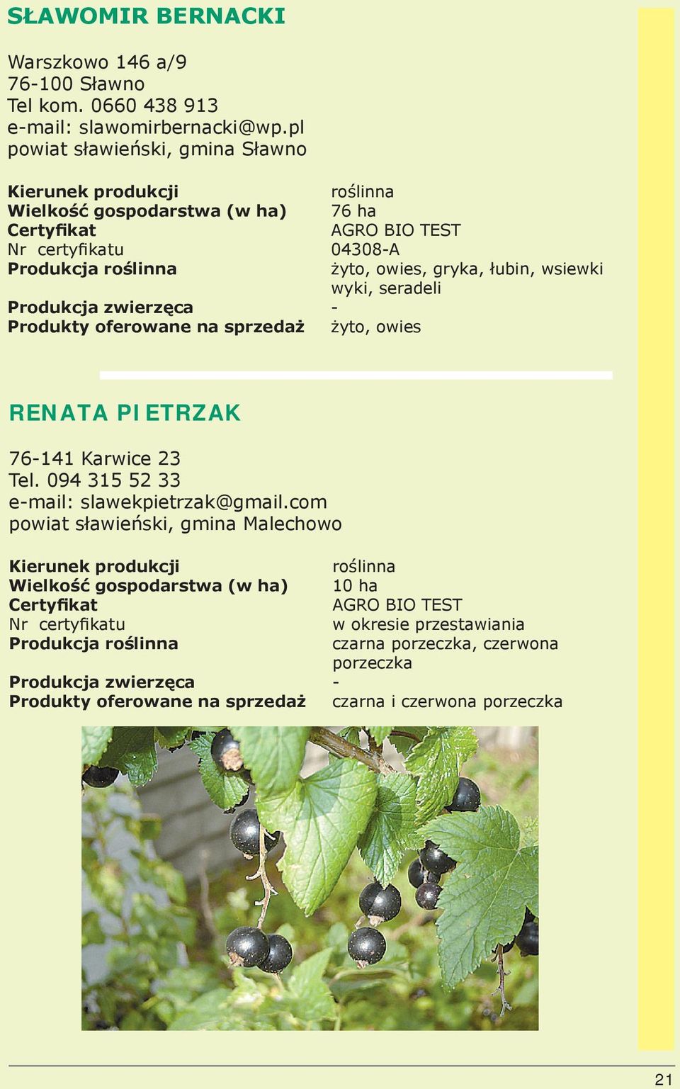 . - Produkty oferowane na sprzedaż żyto, owies żyto, owies, gryka, łubin, wsiewki wyki, seradeli RENATA PIETRZAK 76-141 Karwice 23 Tel.