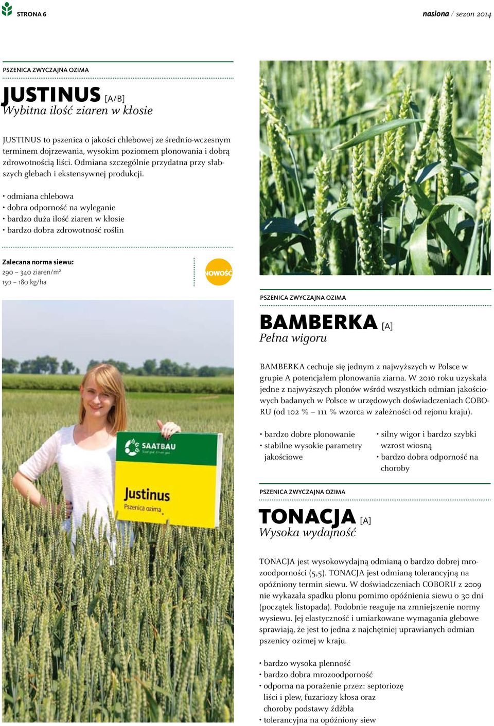 290 340 ziaren/m² 150 180 kg/ha BAMBERKA [A] Pełna wigoru BAMBERKA cechuje się jednym z najwyższych w Polsce w grupie A potencjałem plonowania ziarna.