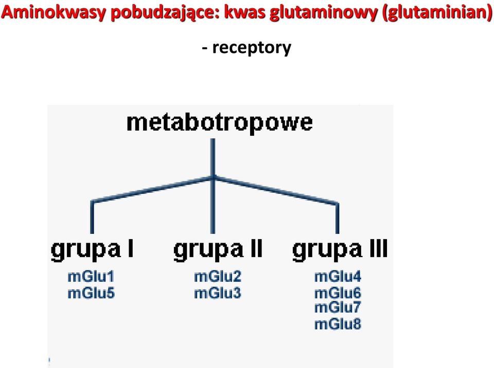 kwas glutaminowy