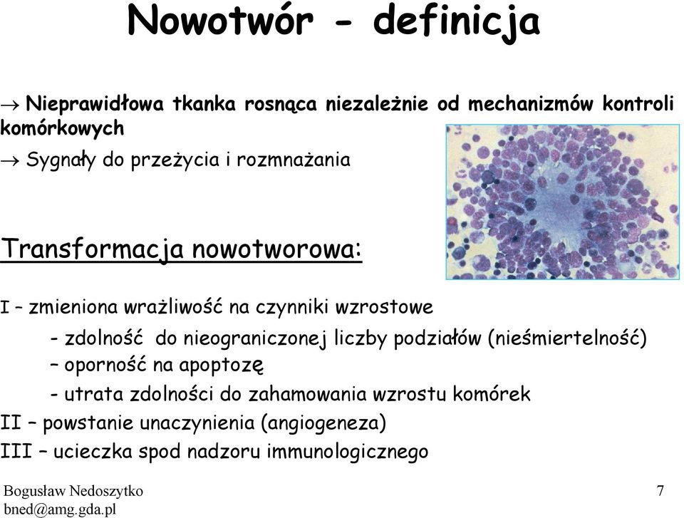 zdolność do nieograniczonej liczby podziałów (nieśmiertelność) oporność na apoptozę - utrata zdolności do