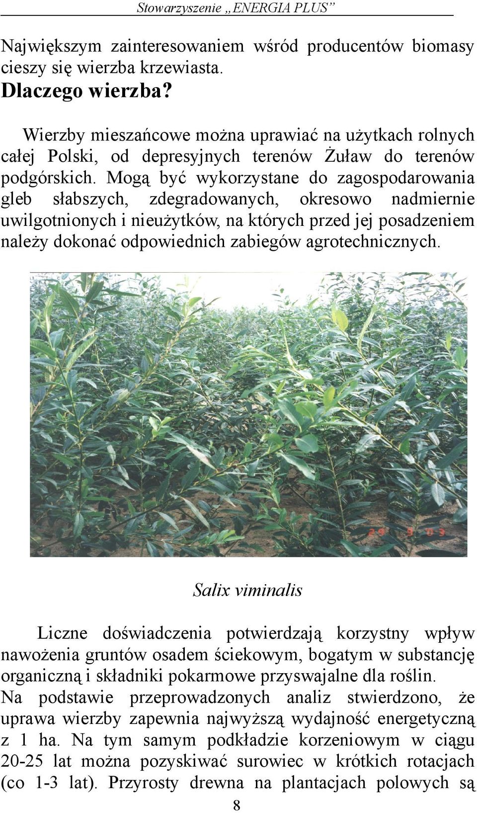 Mogą być wykorzystane do zagospodarowania gleb słabszych, zdegradowanych, okresowo nadmiernie uwilgotnionych i nieużytków, na których przed jej posadzeniem należy dokonać odpowiednich zabiegów