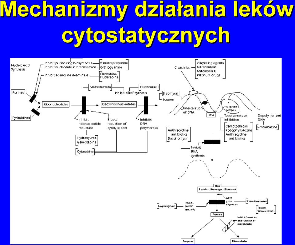 leków