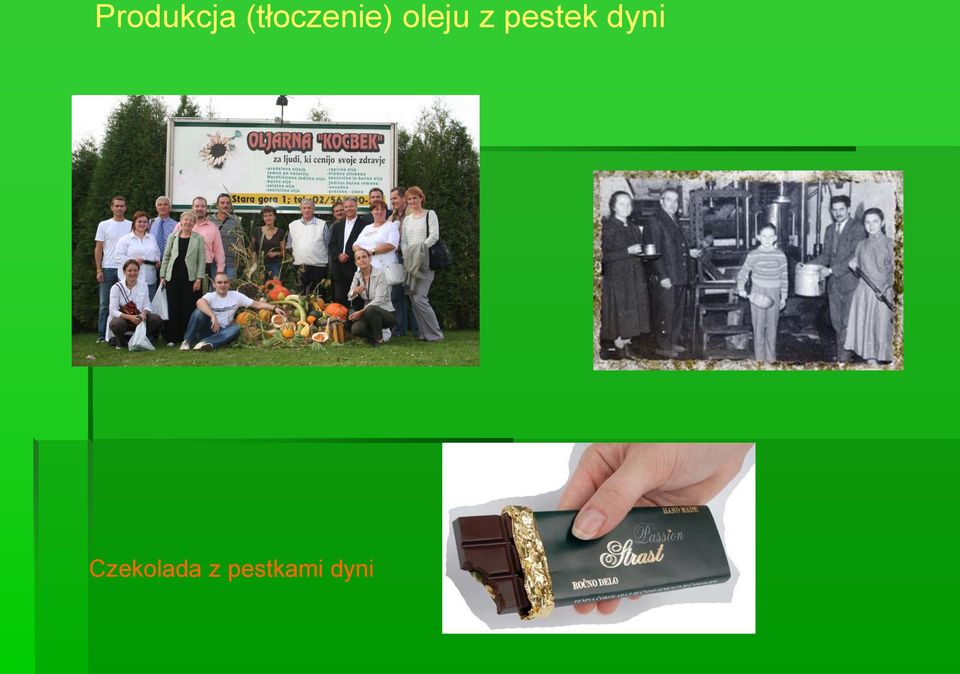 oleju z pestek