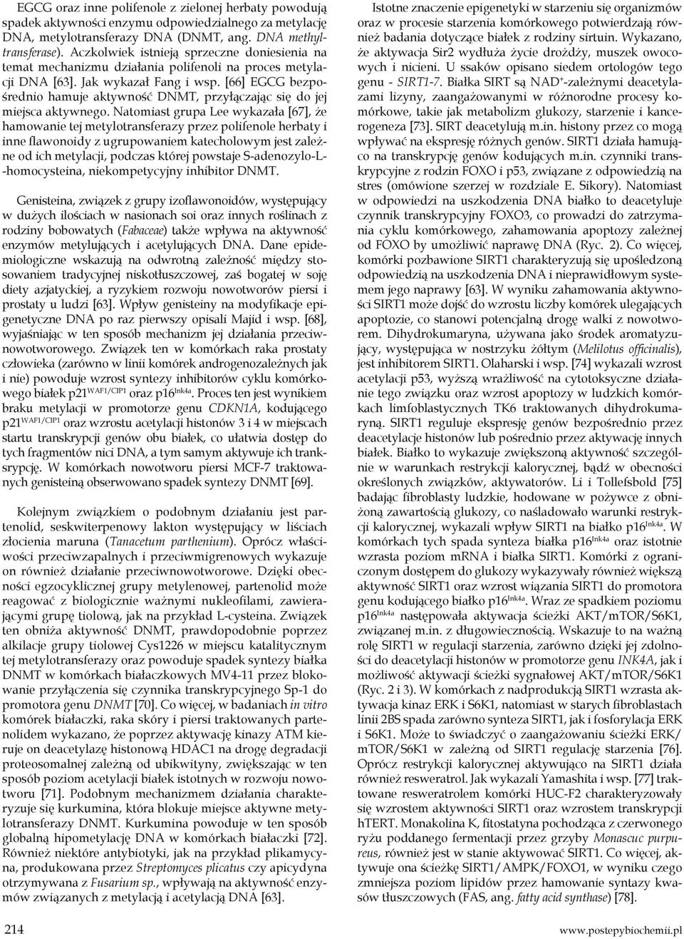 [66] EGCG bezpośrednio hamuje aktywność DNMT, przyłączając się do jej miejsca aktywnego.