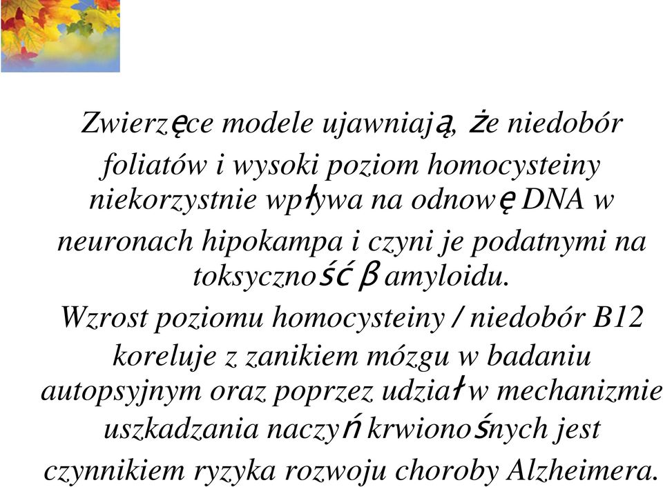 Wzrost poziomu homocysteiny / niedobór B12 koreluje z zanikiem mózgu w badaniu autopsyjnym oraz