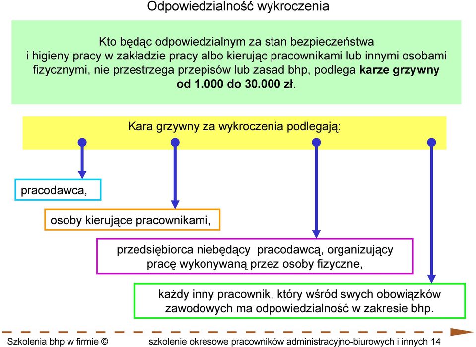 Kara grzywny za wykroczenia podlegają: pracodawca, osoby kierujące pracownikami, przedsiębiorca niebędący pracodawcą, organizujący pracę wykonywaną przez