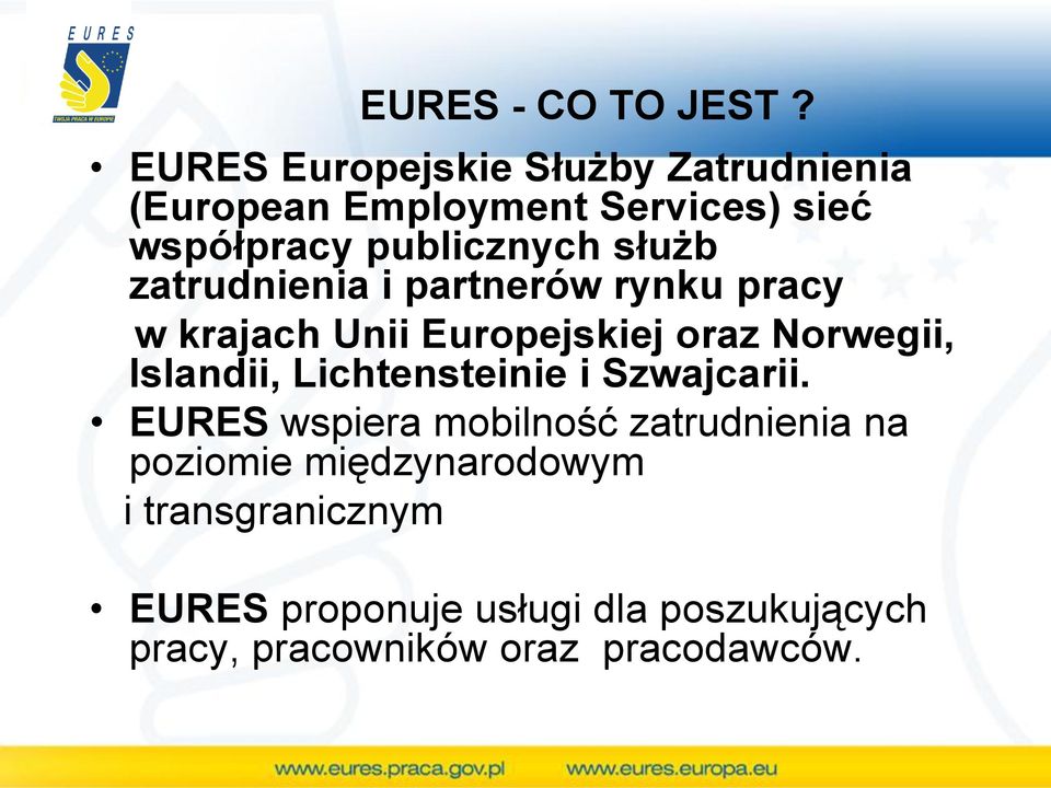 służb zatrudnienia i partnerów rynku pracy w krajach Unii Europejskiej oraz Norwegii, Islandii,