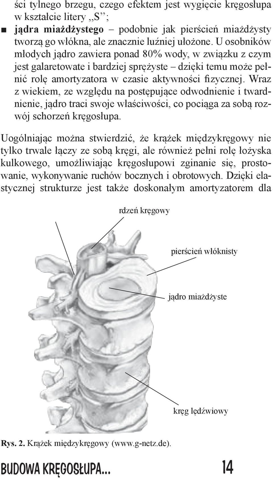 Wraz z wiekiem, ze względu na postępujące odwodnienie i twardnienie, jądro traci swoje właściwości, co pociąga za sobą rozwój schorzeń kręgosłupa.