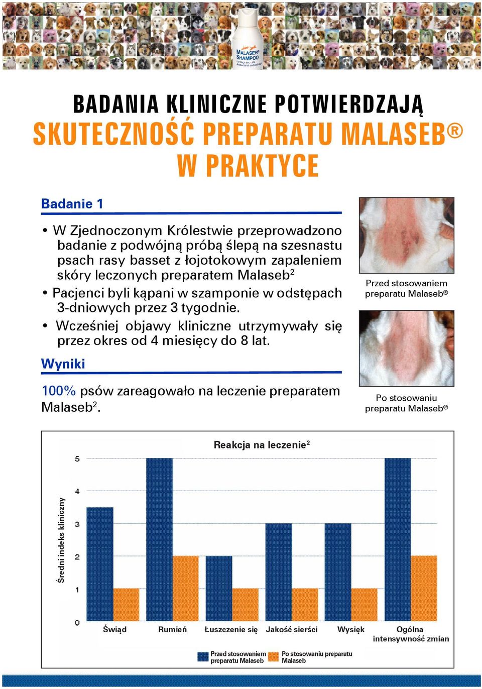 Wcześniej objawy kliniczne utrzymywały się przez okres od 4 miesięcy do 8 lat. Wyniki 100% psów zareagowało na leczenie preparatem Malaseb 2.