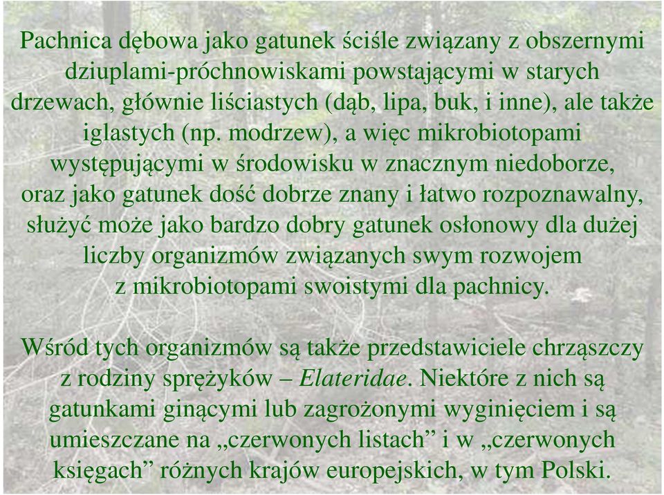 gatunek osłonowy dla dużej liczby organizmów związanych swym rozwojem z mikrobiotopami swoistymi dla pachnicy.