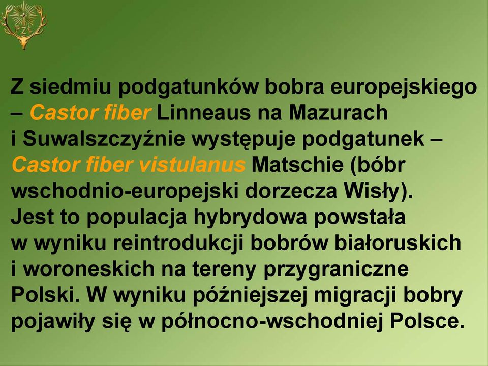 Jest to populacja hybrydowa powstała w wyniku reintrodukcji bobrów białoruskich i woroneskich na
