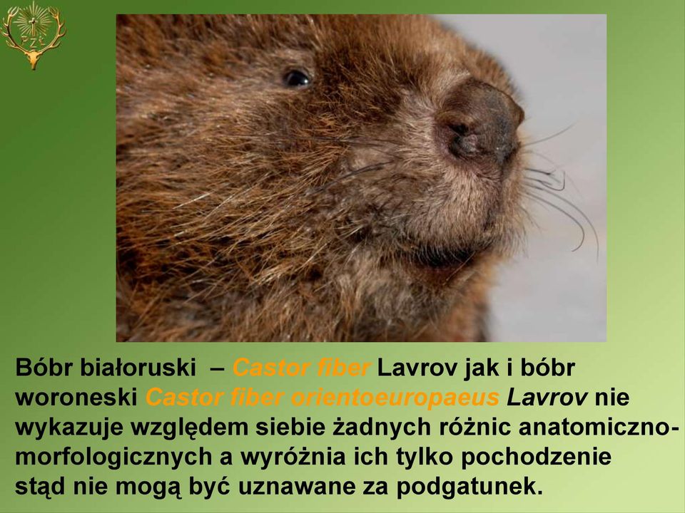 siebie żadnych różnic anatomicznomorfologicznych a wyróżnia