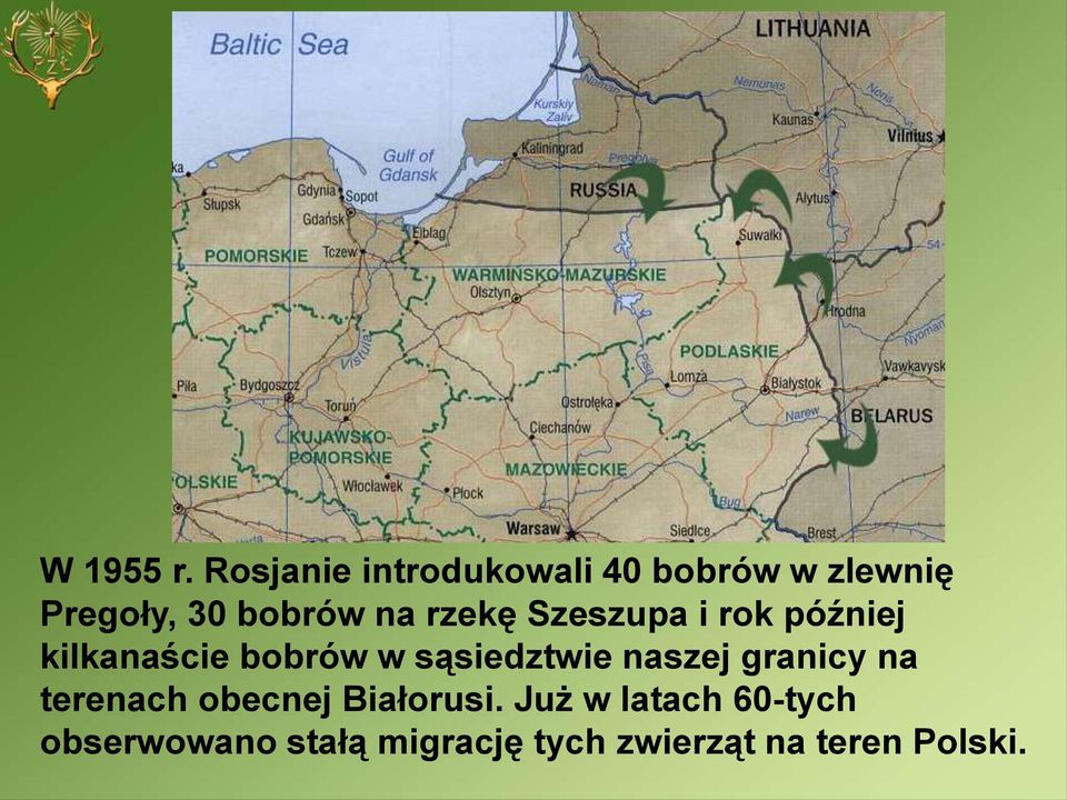 rzekę Szeszupa i rok później kilkanaście bobrów w sąsiedztwie