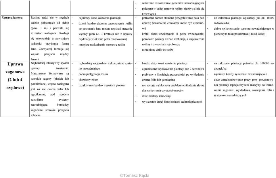 Zazwyczaj formuje się wąskie przejścia między - najniższy koszt założenia plantacji - dzięki bardzo dużemu zagęszczeniu roślin po powstaniu łanu można uzyskać znacznie wyższy plon (2-3 krotnie) niż z