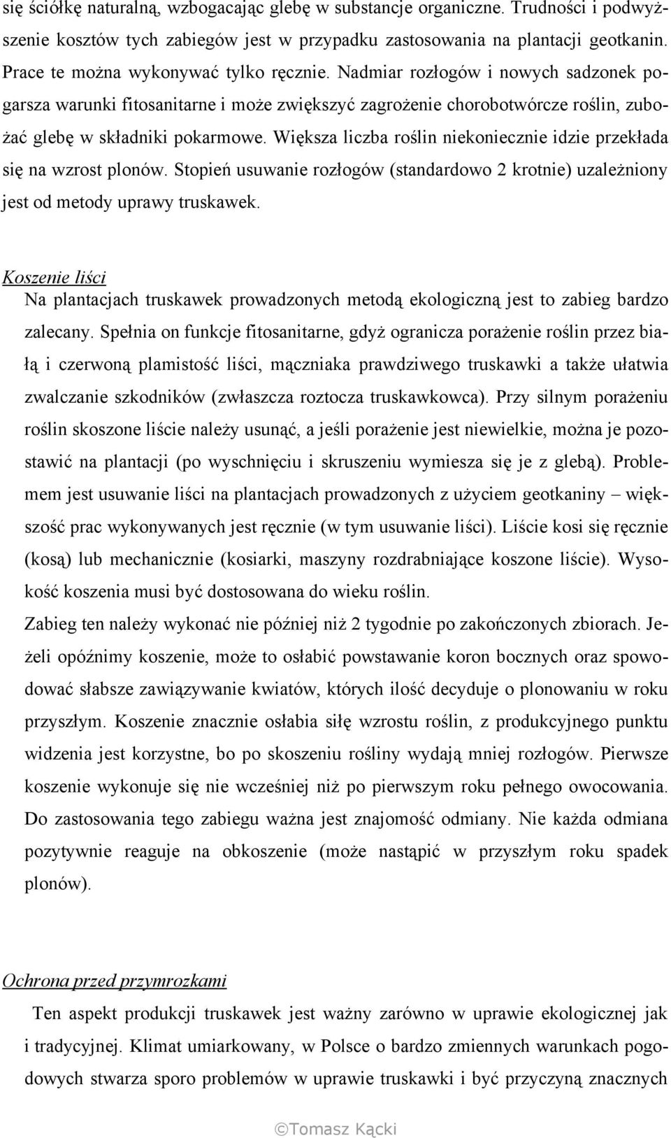 Większa liczba roślin niekoniecznie idzie przekłada się na wzrost plonów. Stopień usuwanie rozłogów (standardowo 2 krotnie) uzależniony jest od metody uprawy truskawek.