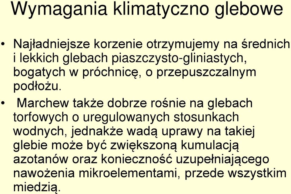 Marchew także dobrze rośnie na glebach torfowych o uregulowanych stosunkach wodnych, jednakże wadą