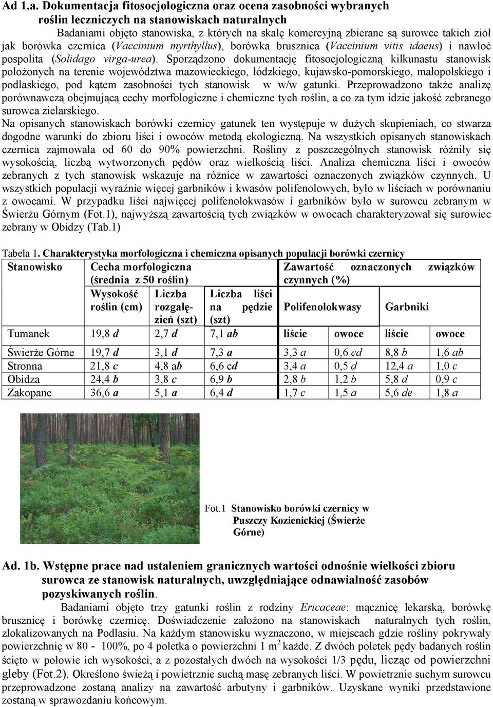 ziół jak borówka czernica (Vaccinium myrthyllus), borówka brusznica (Vaccinium vitis idaeus) i nawłoć pospolita (Solidago virga-urea).