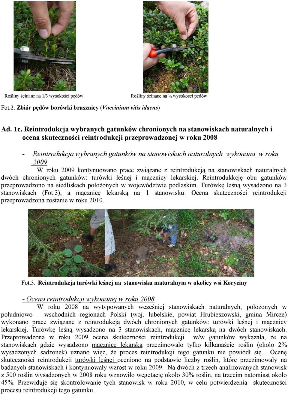 wykonana w roku 2009 W roku 2009 kontynuowano prace związane z reintrodukcją na stanowiskach naturalnych dwóch chronionych gatunków: turówki leśnej i mącznicy lekarskiej.