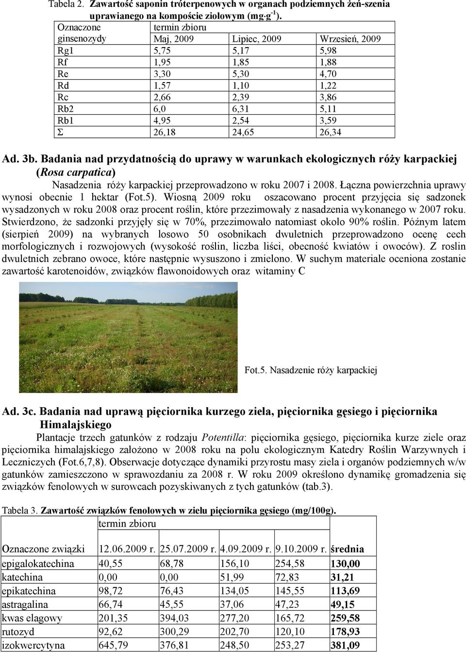 3,59 Σ 26,18 24,65 26,34 Ad. 3b. Badania nad przydatnością do uprawy w warunkach ekologicznych róŝy karpackiej (Rosa carpatica) Nasadzenia róŝy karpackiej przeprowadzono w roku 2007 i 2008.