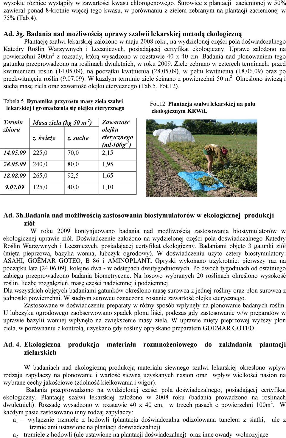Badania nad moŝliwością uprawy szałwii lekarskiej metodą ekologiczną Plantację szałwi lekarskiej załoŝono w maju 2008 roku, na wydzielonej części pola doświadczalnego Katedry Roślin Warzywnych i