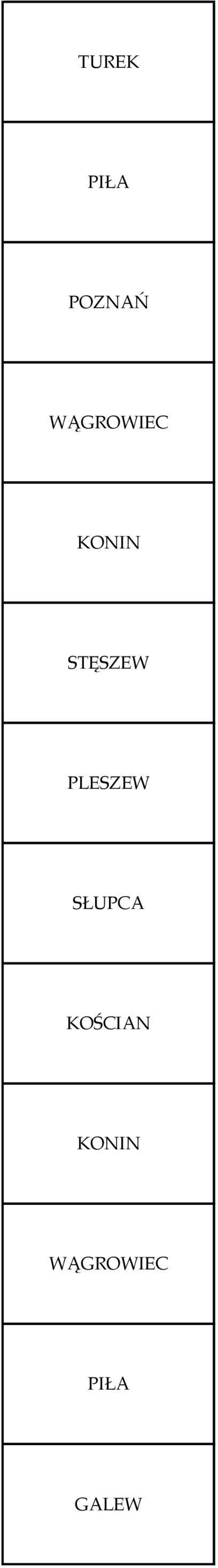 STĘSZEW PLESZEW