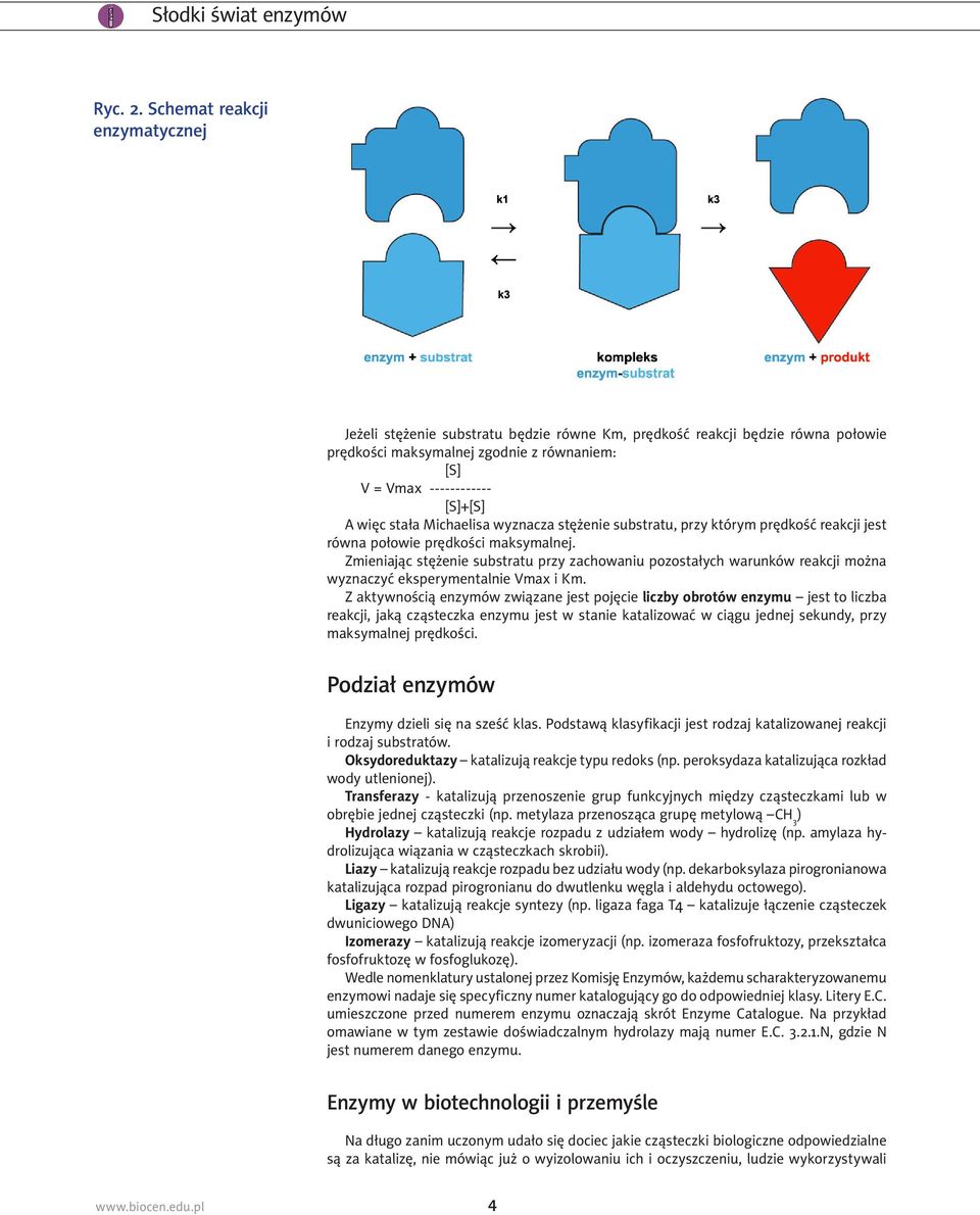 stała Michaelisa wyznacza stężenie substratu, przy którym prędkość reakcji jest równa połowie prędkości maksymalnej.