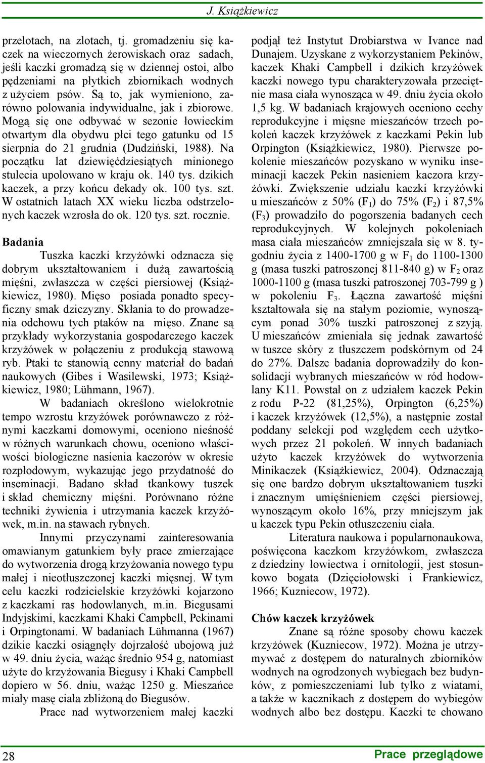 Są to, jak wymieniono, zarówno polowania indywidualne, jak i zbiorowe. Mogą się one odbywać w sezonie łowieckim otwartym dla obydwu płci tego gatunku od 15 sierpnia do 21 grudnia (Dudziński, 1988).