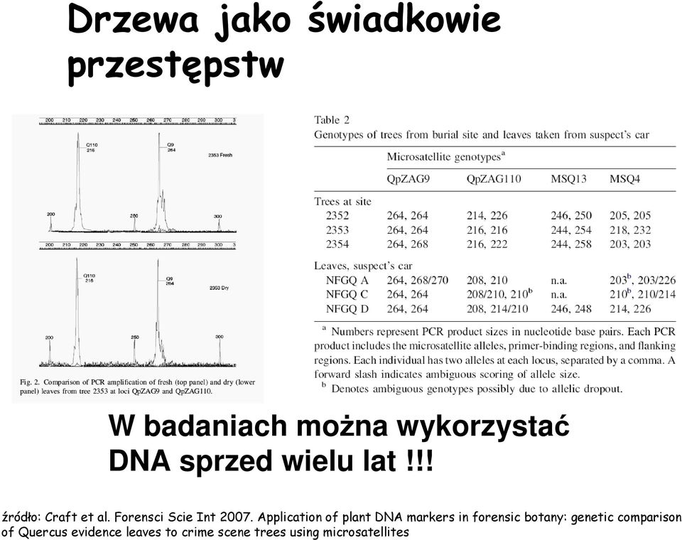 Application of plant DNA markers in forensic botany: genetic