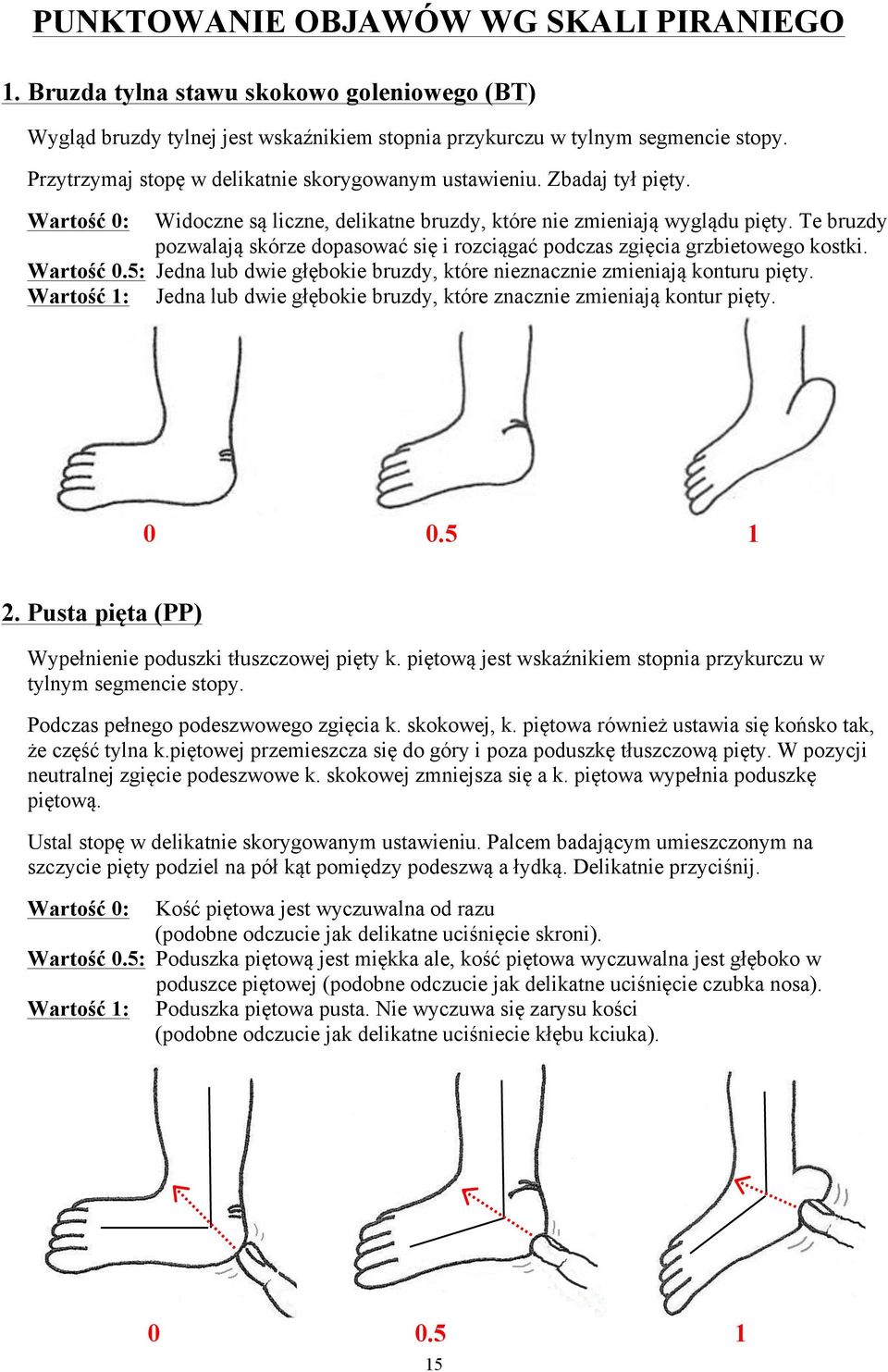 Te bruzdy pozwalają skórze dopasować się i rozciągać podczas zgięcia grzbietowego kostki. Wartość 0.5: Jedna lub dwie głębokie bruzdy, które nieznacznie zmieniają konturu pięty.